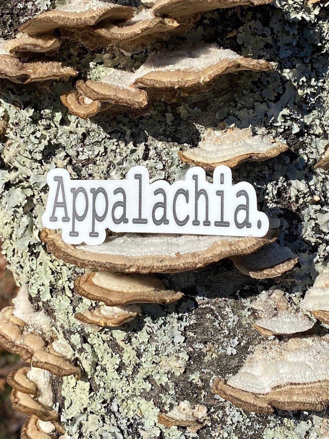Appalachia Sticker, Mountains, Hollers, Gift for Appalachia Lovers ...