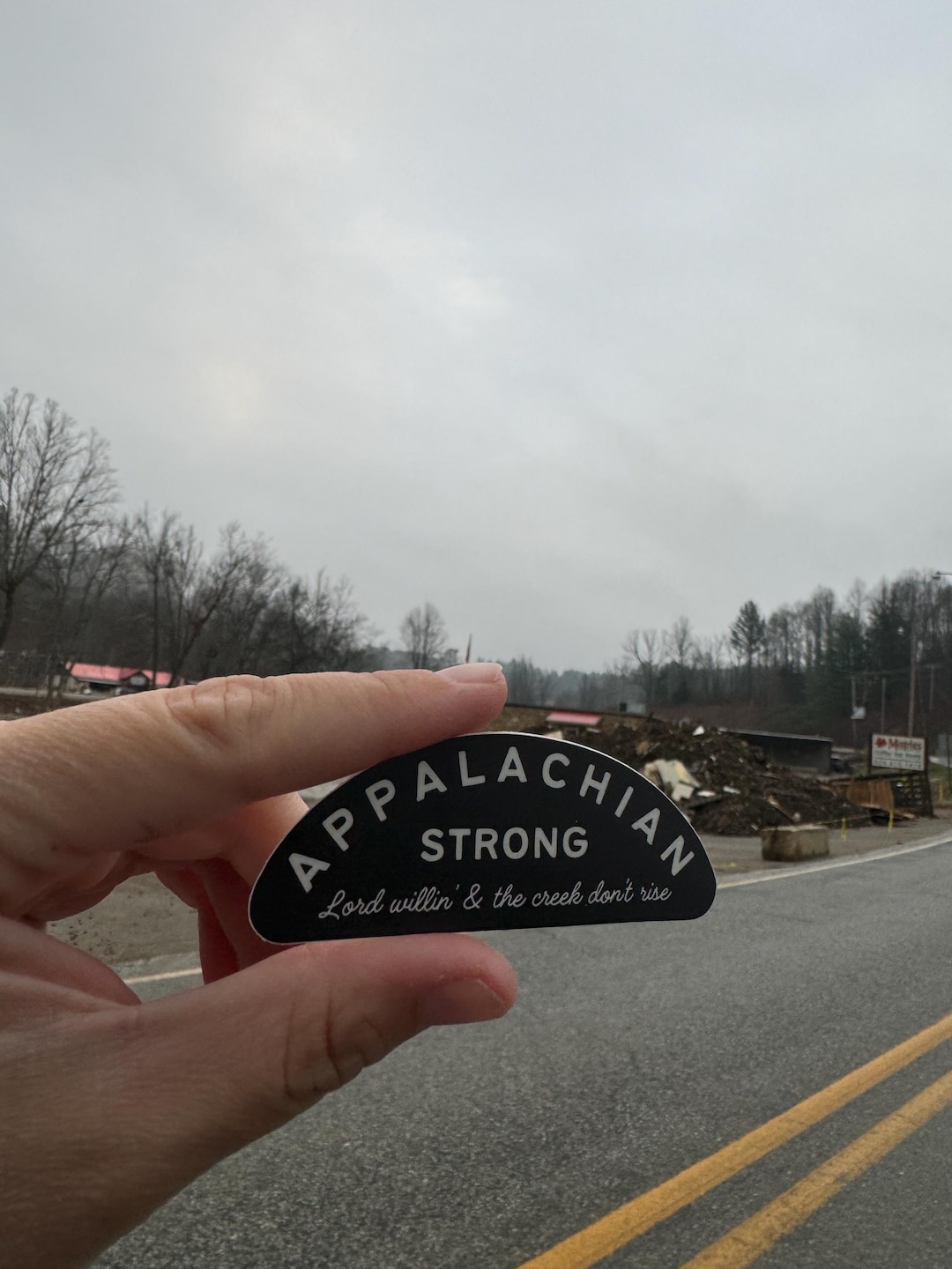 Appalachian Strong: Appalachia Sticker, Hollers, Gift for Appalachia ...