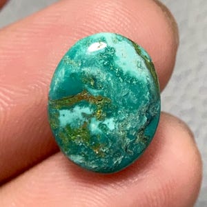 May include: Oval-shaped turquoise gemstone with a mottled pattern of teal, brown, and green hues. The polished surface reflects light, showcasing the natural variations in color and texture. This gemstone is likely used for jewelry or decorative purposes.