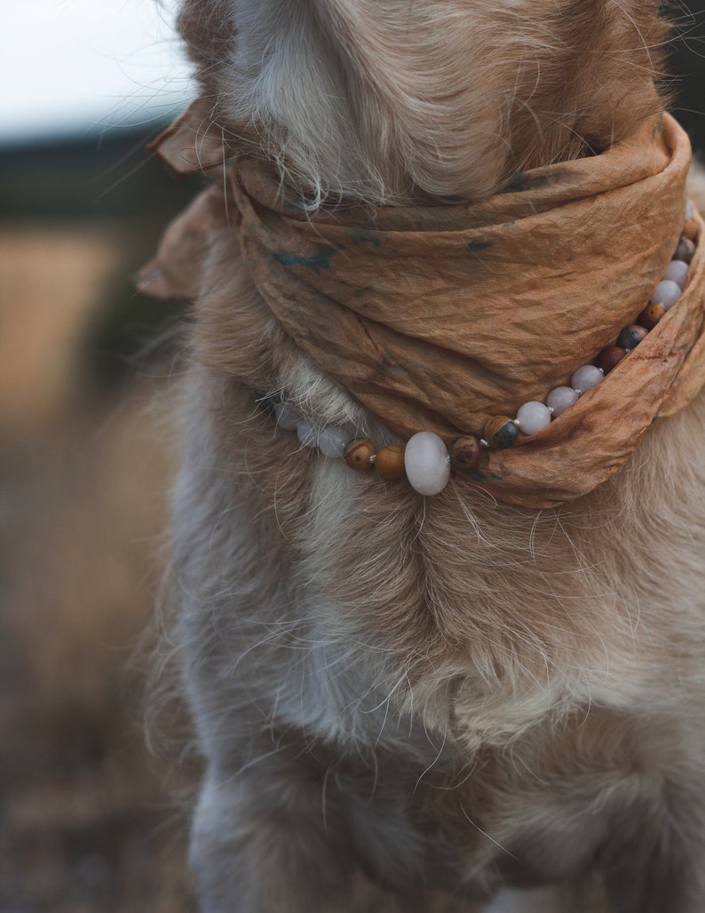 Halsband für Hunde und Katzen / Edelsteine / Jaspis und Achat Perlen / Heilsteine für Hunde/Halstuch für Hunde/Halskette für Hunde Bild 1