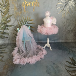 Blush Pink Baby Girl Birthday Outfit with detachable train, Flower girl Dress