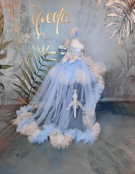 navy blue dress for baby girl Light Blue Baby Fancy Outfit & Detachable Long Tail, Flower Girl Dress, Toddler Pageant Costume
