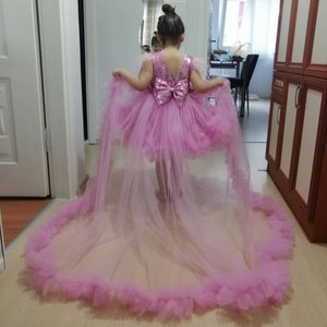 May include: A pink tulle dress with a sequined bodice and a large bow on the back. The dress has a long train with a ruffled edge.