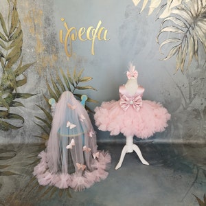 May include: A pink tulle dress with a satin bodice and a bow. The dress is on a white stand and has a veil with butterflies on it. The background is a gray wall with a gold leaf design.