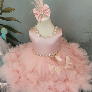 May include: A pink tulle dress with a satin bodice and a beaded belt. The dress has butterfly appliques and a pink bow with a feather accent.