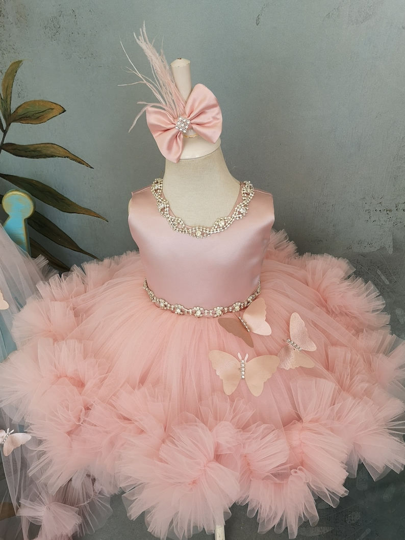 May include: A pink tulle dress with a satin bodice and a beaded belt. The dress has butterfly appliques and a pink bow with a feather accent.