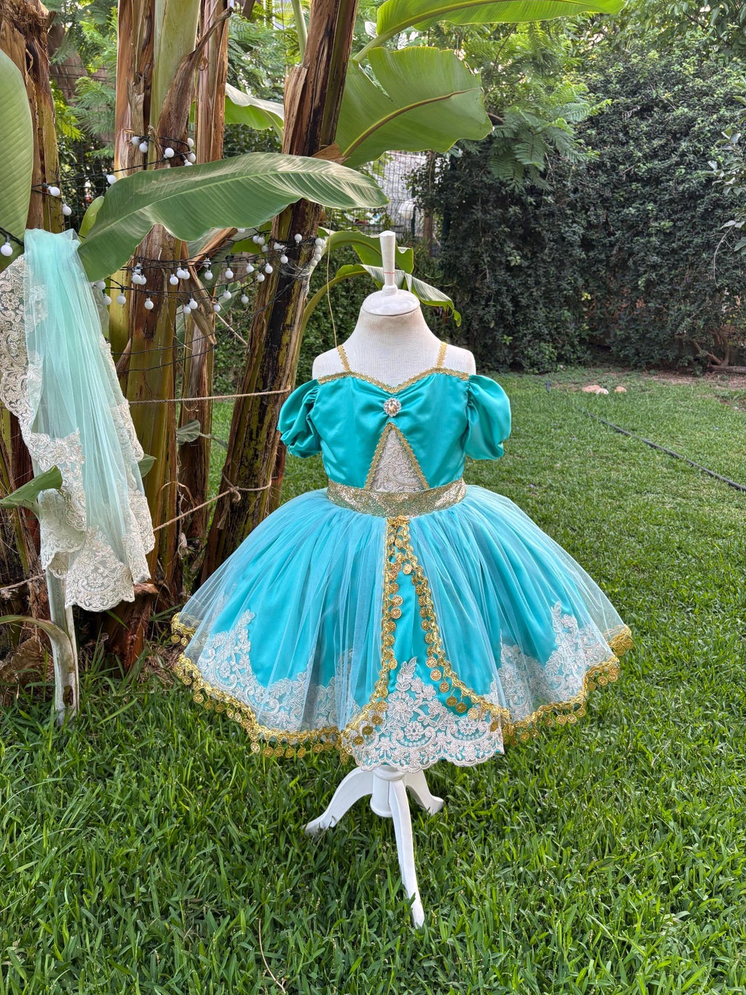 princess jasmine quince dress jasmine