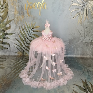 Baby Butterfly Dress, Girl Prom Gown Rhinestones & Detachable Train, Pageant Frock, Flower Girl Dress image 10