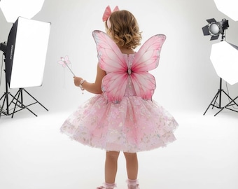 Butterfly Wings girl prom Gown, Pink Baby 1st Birthday Outfit detachable long trail, Flower girl Dress