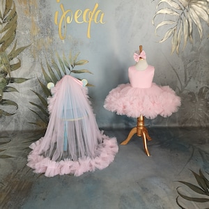 Light Pink Flower Girl Dress, Toddler Pageant Dress detachable train, Long Tail Girl Prom Grown, Princess frock, Kids birthday party outfit