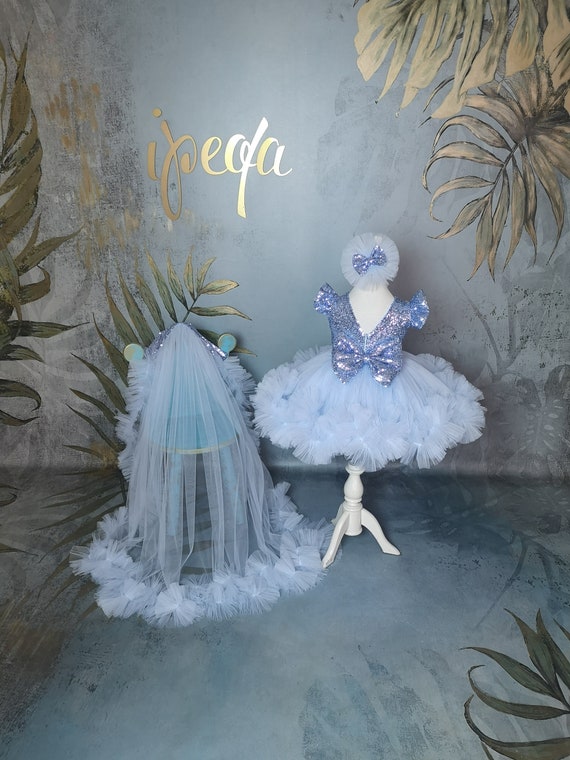 New Light Blue Toddler Pageant Dress detachable train, Long Tail Girl Prom Grown, Flower Girl Dress, Princess frock, birthday party outfit New Light Blue Toddler Pageant Dress detachable train, Long Tail Girl Prom Grown, Flower Girl Dress, Princess frock, birthday party outfit