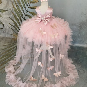 May include: A pink tulle dress with a satin bodice and a large bow. The dress has a long train with butterfly appliques.