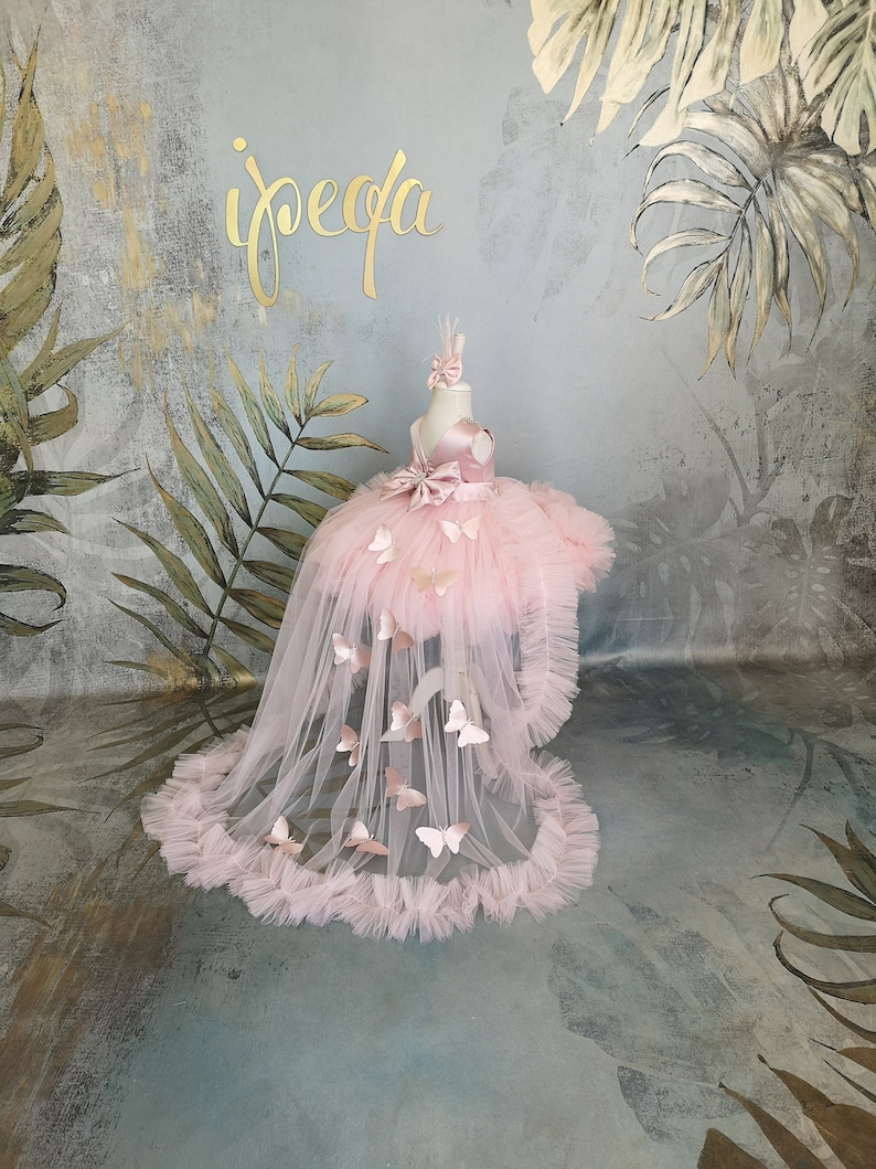 Baby Butterfly Dress, Girl Prom Gown Rhinestones & Detachable Train, Pageant Frock, Flower Girl Dress image 3