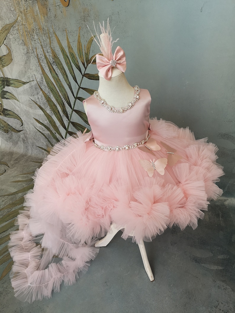 May include: A pink tulle dress with a satin bodice, embellished with rhinestones. The dress has a long train and features butterfly appliques. A matching pink bow with rhinestones is included.