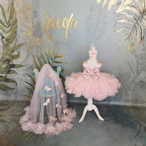 May include: A pink tulle dress with a satin bow and butterfly embellishments. The dress is on a white stand against a backdrop of a gray wall with a gold leaf design.