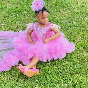 May include: A young girl wearing a pink tulle dress with a sequined bodice and feather trim. She is wearing a pink flower hair clip and pink shoes. The girl is sitting on a green grassy lawn.