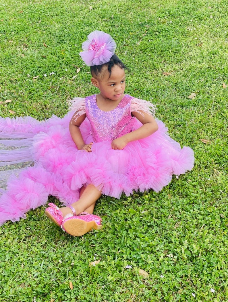 May include: A young girl wearing a pink tulle dress with a sequined bodice and feather trim. She is wearing a pink flower hair clip and pink shoes. The girl is sitting on a green grassy lawn.