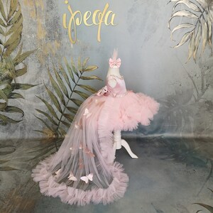 May include: A pink tulle dress with a butterfly design and a train. The dress has a sweetheart neckline and a fitted bodice. The train is adorned with butterflies and has a ruffled edge.