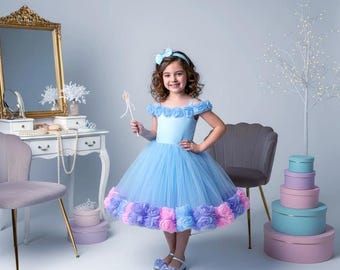 Handmade Baby Blue Tulle Dress, Rose Detail Princess Outfit