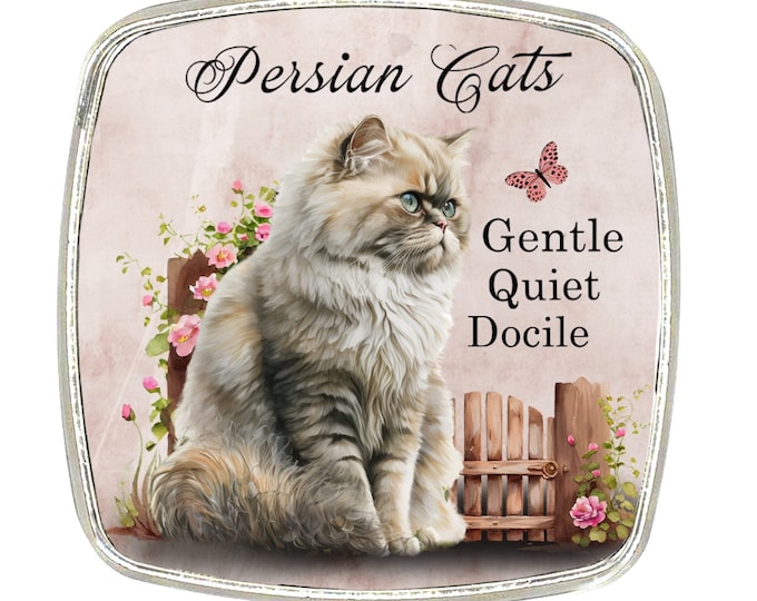 Cat Magnet - Chrome Finish Large Magnet - Cat Breed - Persian Cat