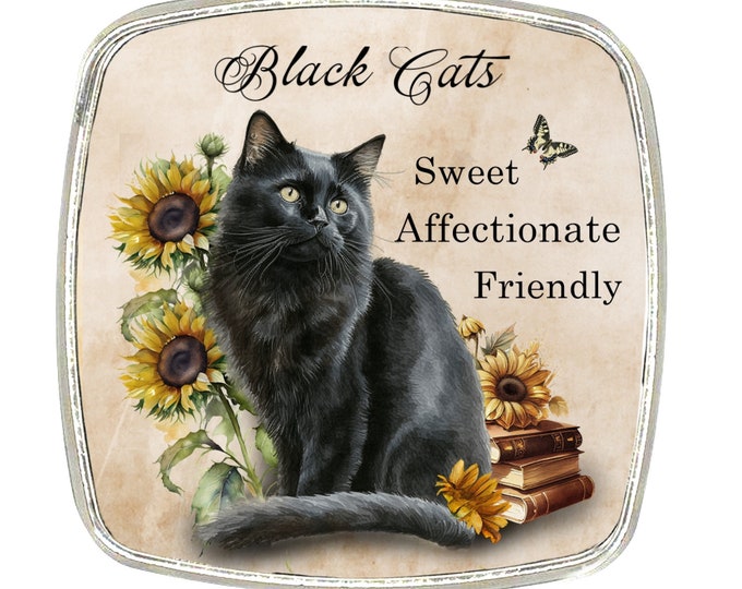 Cat Magnet - Chrome Finish Large Magnet - Cat Breed - Black Cat