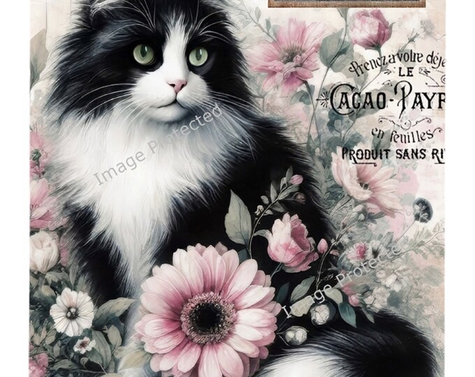 Cat Metal Sign - Funny - Vintage Tuxedo - Black and White Cat & Quote