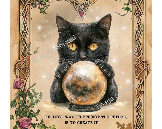 Cat Sign - Hanging Metal Sign -Black Cat & Crystal Ball - Best Way To Predict The Future Is To Create It