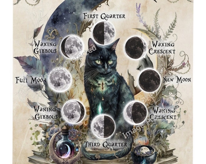Black Cat Sign - Hanging Metal Sign - Moon Phases - Each Phase and Magic Meaning, Black Cat and Moon