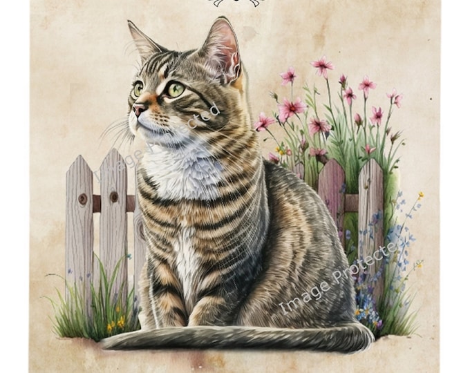Cat Breed Sign - The Tabby Cat