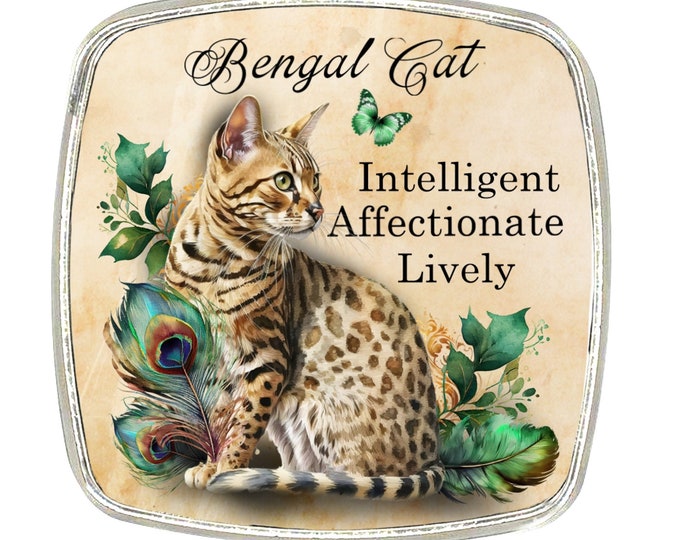 Cat Magnet - Chrome Finish Large Magnet - Cat Breed - Bengal Cat