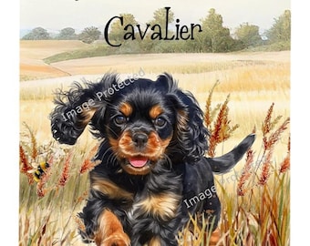 May include: A black and tan Cavalier King Charles Spaniel puppy runs through a field of tall grass. The text "Life Is Better With A Cavalier" is at the top of the image.