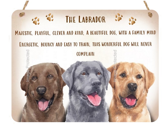 Metal Dog Sign - The Labrador - Golden labrador/Chocolate Labrador/Black Labrador