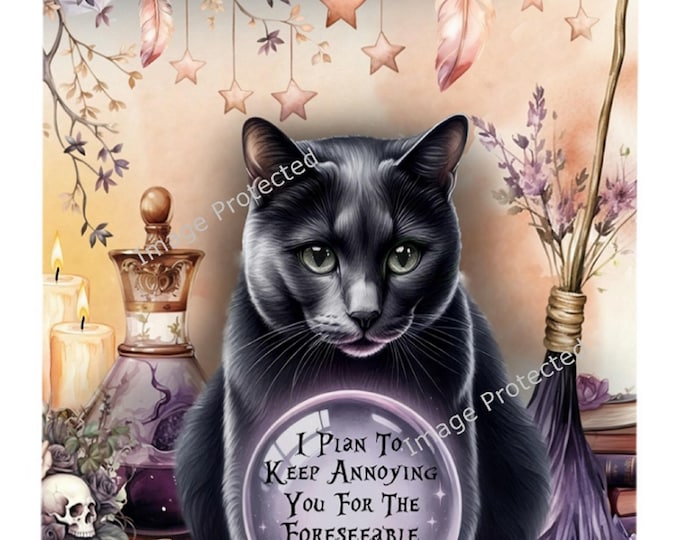 Black Cat Sign - Black Cat and Crystal Ball - Funny Cat Sign..I plan to annoy you