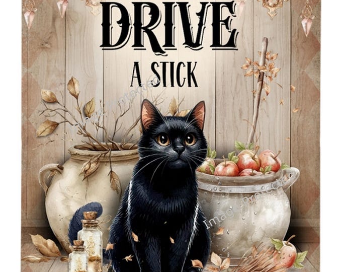 Black Cat Sign - Hanging Metal Sign - Funny Halloween Sign - Yes I can Drive Stick