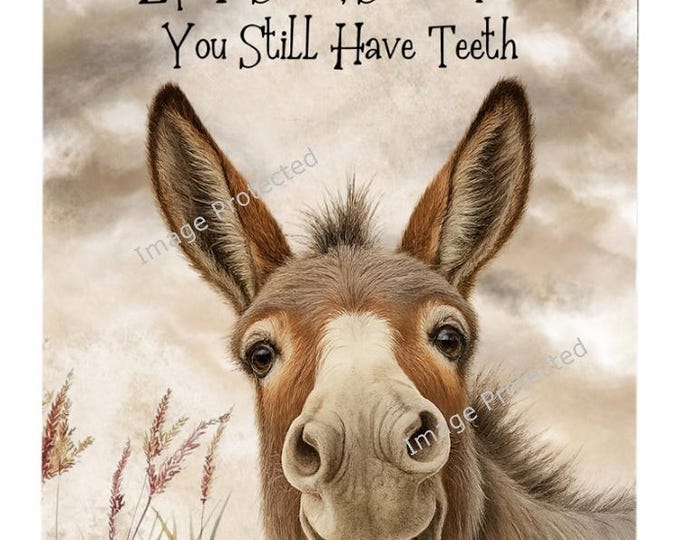 Hanging Metal Sign - Donkey Sign - Donkey Wisdom - Life Is Short, Smile, While You Still Have Teeth