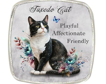 Cat Magnet - Chrome Finish Large Magnet - Cat Breed - Black and White Cat
