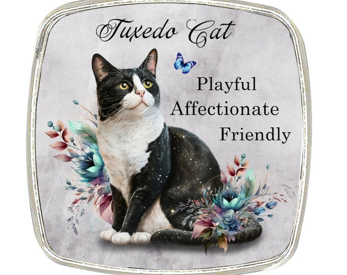 Cat Magnet - Chrome Finish Large Magnet - Cat Breed - Black and White Cat