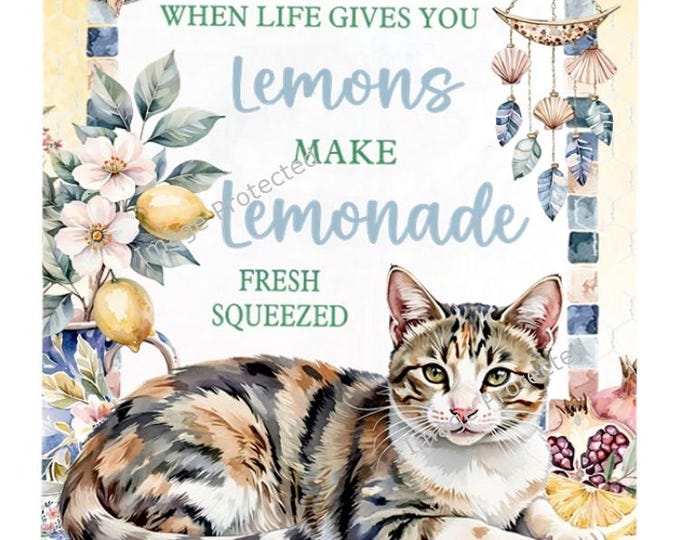 Tabby & White Cat Metal Sign - When life gives you lemons, make lemonade