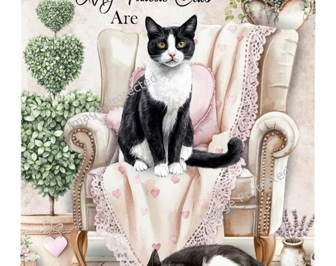 Tuxedo Cat Metal Sign - Shabby Chic, Cottage Core Style - Home Is Where My Tuxedo Cats Are