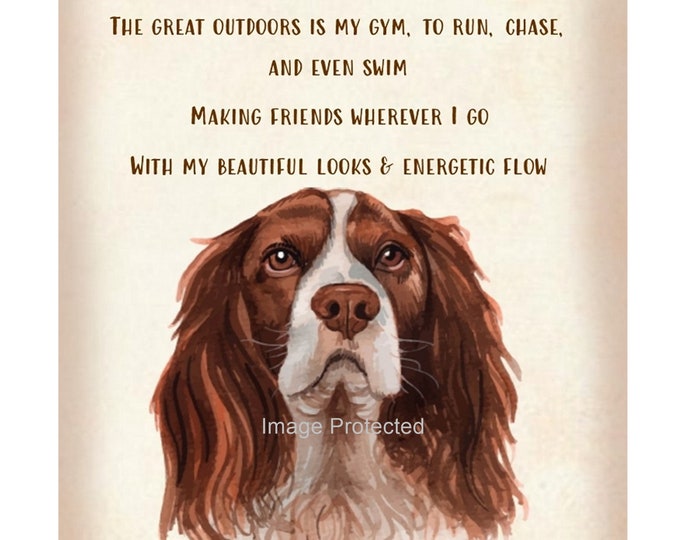 Metal Dog Sign - The Springer Spaniel