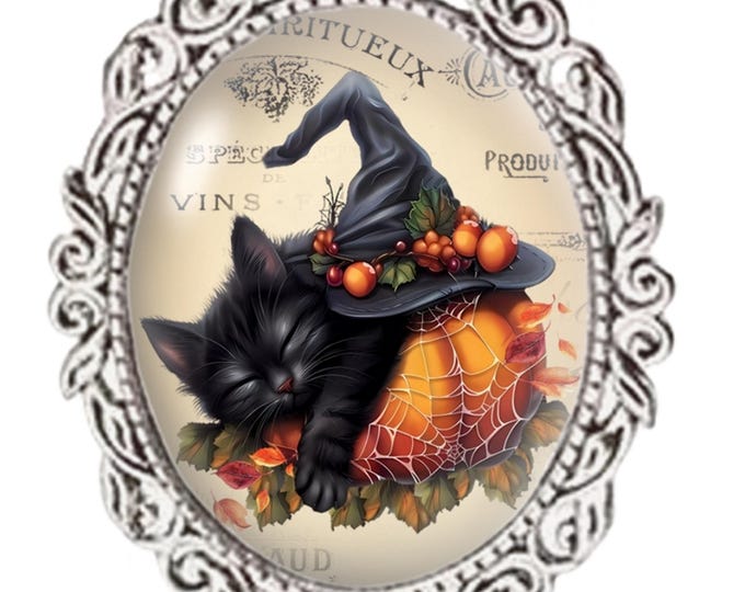Silver Colour - Oval Glass Cabochon Brooch - Kitten in Pumpkin