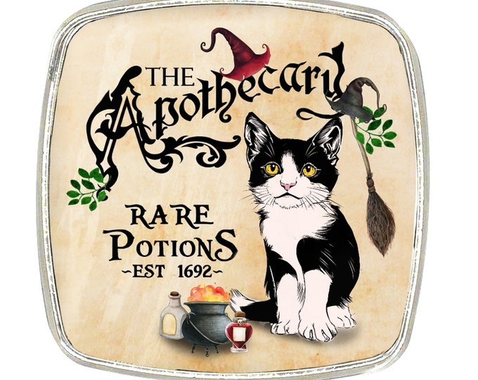 Cat Magnet - Chrome Finish Large Magnet - Apocethary, Witches Cat, Potions Bottles Cat Magnet