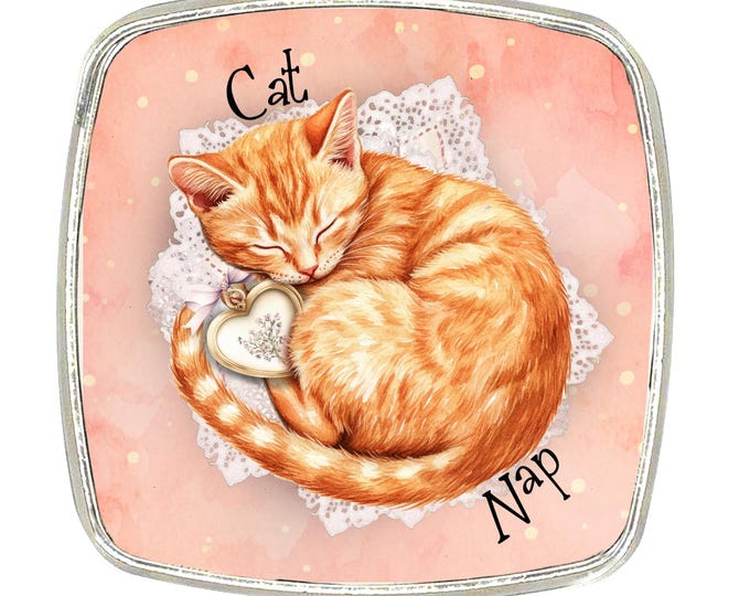 Cat Magnet - Chrome Finish Large Magnet - Shabby Chic Cat, Cottage Core - Cat Nap, Ginger Cat