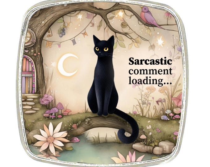 Cat Magnet - Chrome Finish Large Magnet - Whimsical Black cat - Sarcastic Comment Loading...
