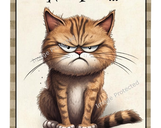 Hanging Metal Sign - Funny Cat Sign - Not Fast, Just Furious