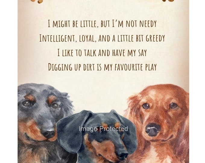 Metal Dog Sign - The Dachshund