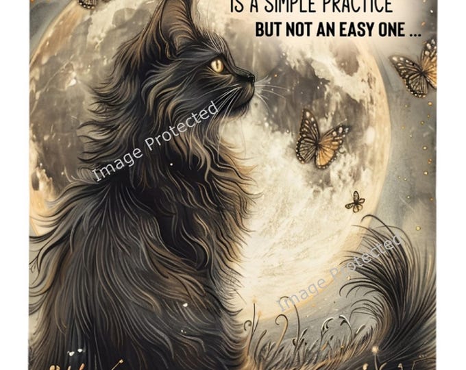 Cat Sign - Hanging Metal Sign - Motivational Quote - Mindfulness