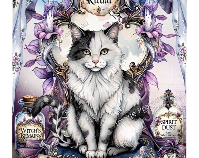 Black & White Cat Sign - Hanging Metal Sign - The Bone Collector