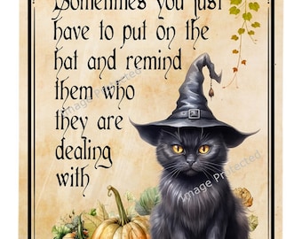 Hanging Black Cat Metal Sign - Witch Hat Decor