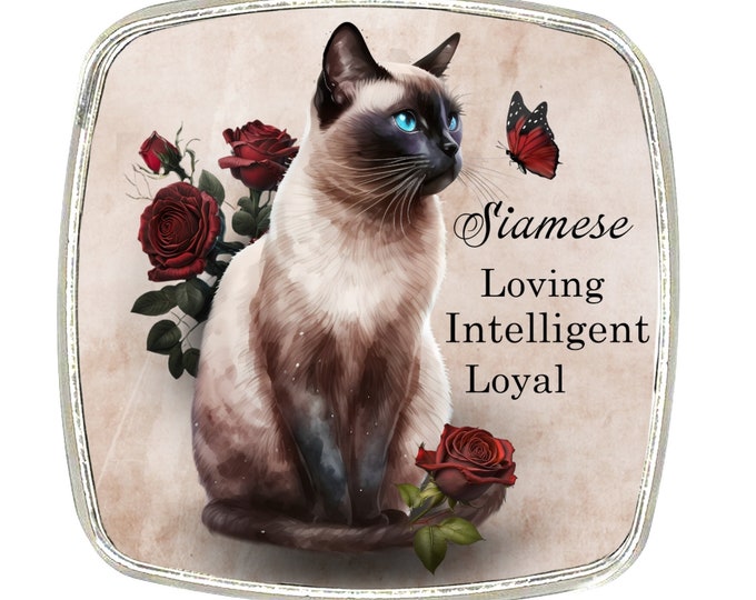 Cat Magnet - Chrome Finish Large Magnet - Cat Breed - Siamese Cat